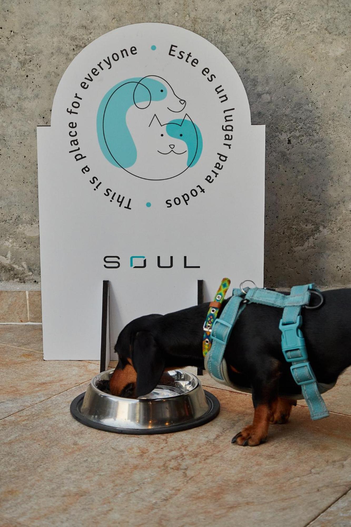 Soul Lifestyle Hotel Medellín Zewnętrze zdjęcie